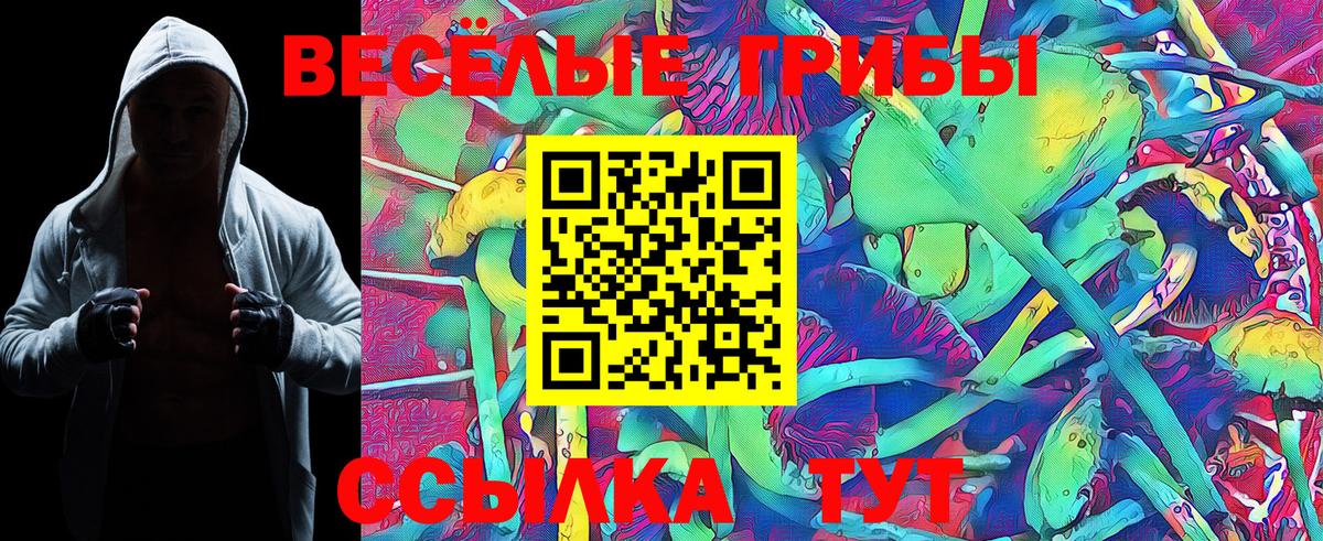 Барнаул  Псилоцибиновые грибы Magic Shrooms  Вход с VPN 